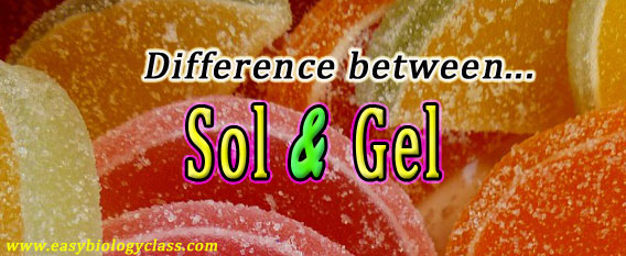 Difference between Sol and Gel