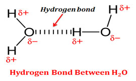 How hydrogen bond is formed