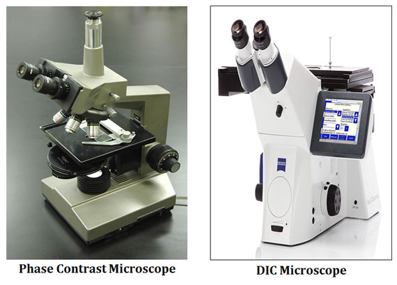 Difference between Phase Contrast and DIC Microscope | EasyBiologyClass