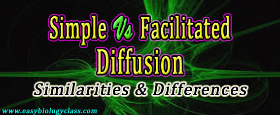 Difference between Simple and Facilitated Diffusion