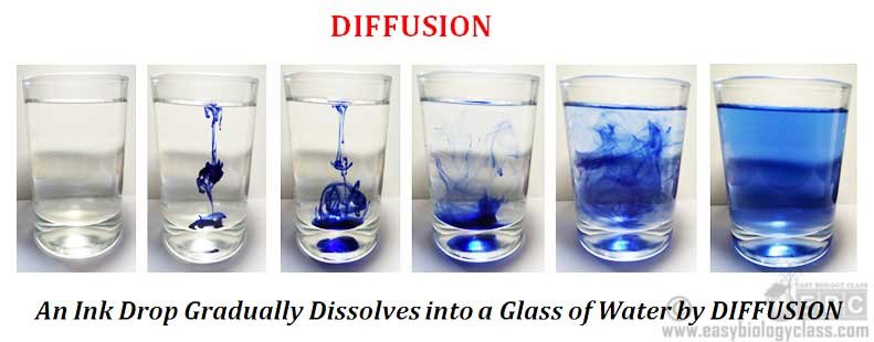 Diffusion Example