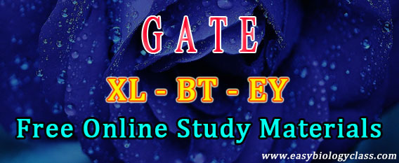 GATE Exam Free Online coaching