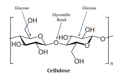 what is cellulose