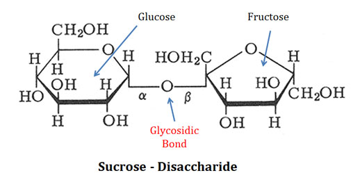 sucrose structure