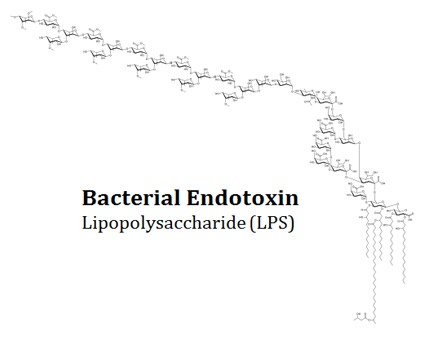 Difference between Eendotoxin and Exotoxin