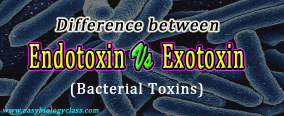 Compare Exotoxin and Endotoxin