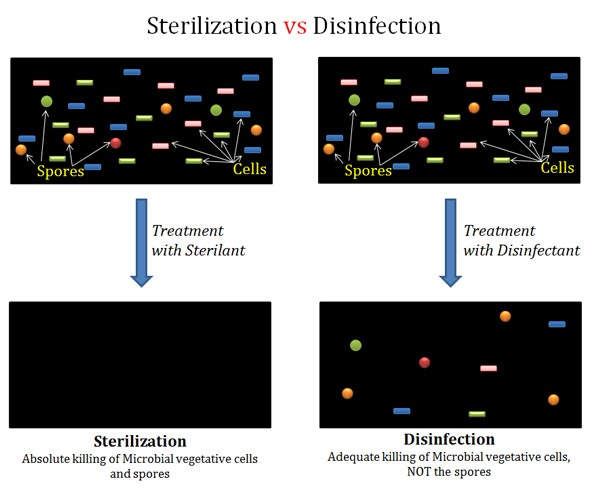 Disinfection vs sterilization