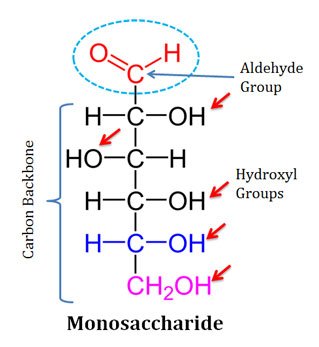 Polyhydroxy aldehydes