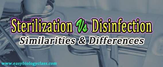 Compare sterilization and Disinfection