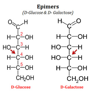 Epimers examples