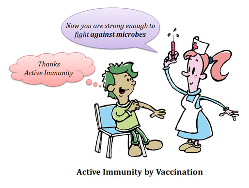 what is active immunity