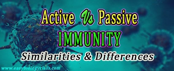 Differentiate between Active and Passive Immunity