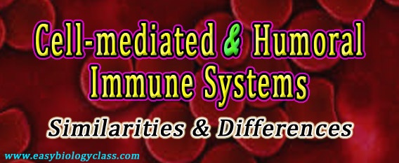 Difference between Humoral and Cell Mediated Immunity