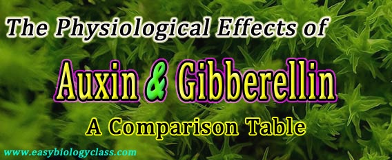 Physiological Effects of Auxins and Gibberellins