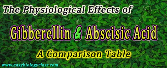Physiological Effects of Abscisic Acid