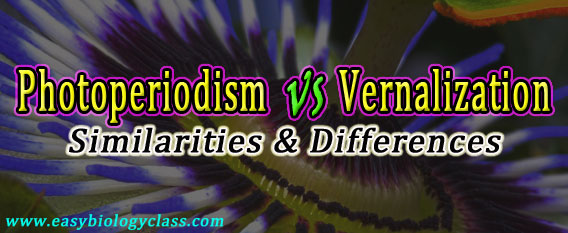 Difference between Photoperiodism and Vernalization