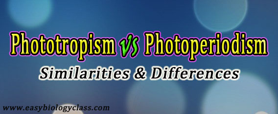 Difference between Phototropism and Photoperiodism