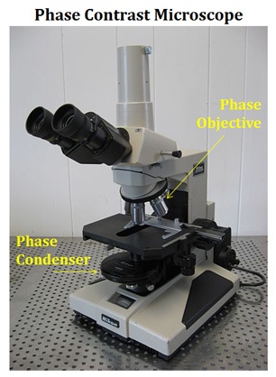 labelled diagram phase contrast microscope