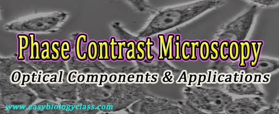 Applications of phase contrast microscope
