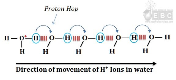 Grotthuss Mechanism