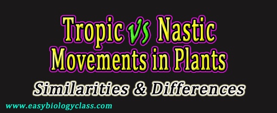 Difference between Tropic and Nastic Movement