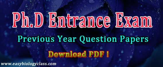 PhD Entrance Test Previous Papers