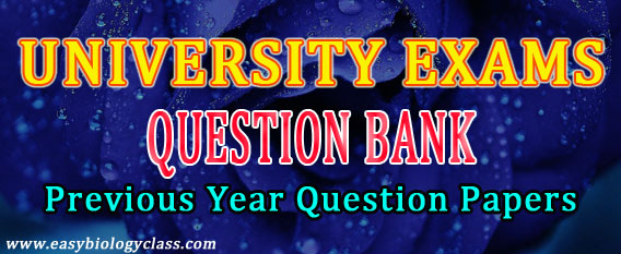 All university exam question papers
