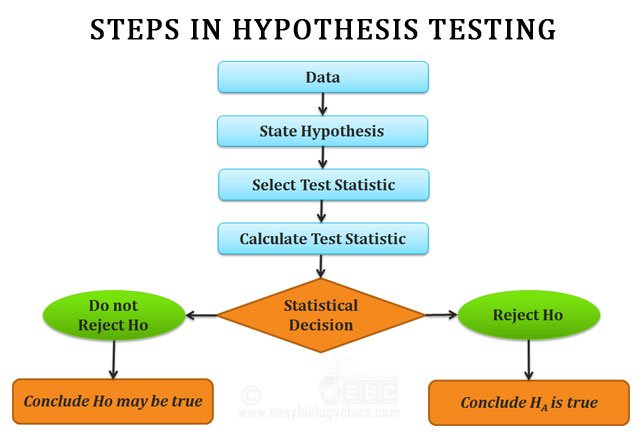 5 steps hypothesis testing