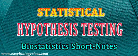 What is hypothesis Testing
