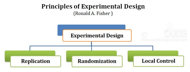 Experimental Designs in Statistics