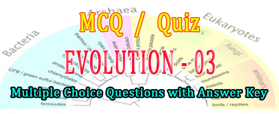 Evolution Question Answer