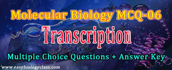 paper biology exam on Transcription Biology Molecular easybiologyclass MCQ paper biology exam on Transcription Biology Molecular easybiologyclass MCQ