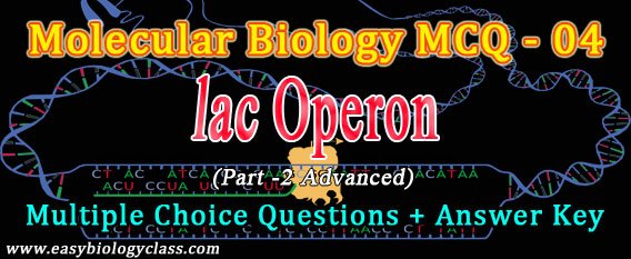 gene regulation mcq