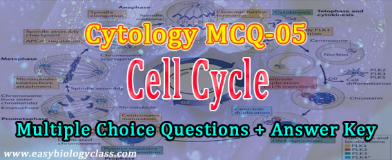 cytology quiz cell cycle