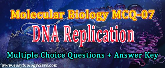 Quiz on DNA Replication