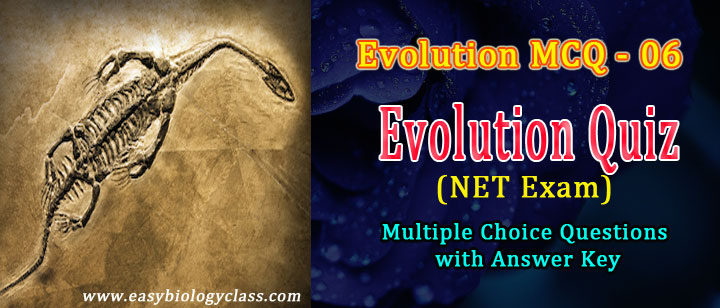 model questions in evolution
