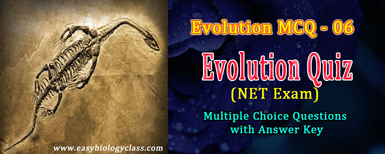 model questions in evolution