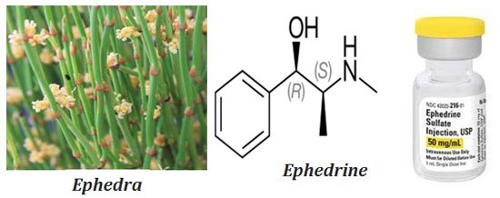 uses of ephedrine