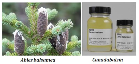 uses of canadabalsam