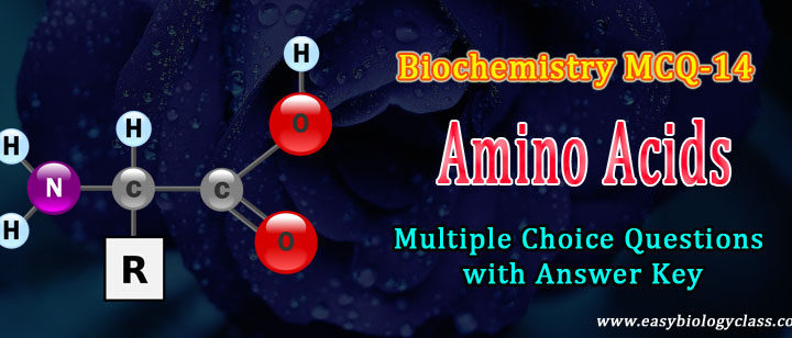 amino acids quiz