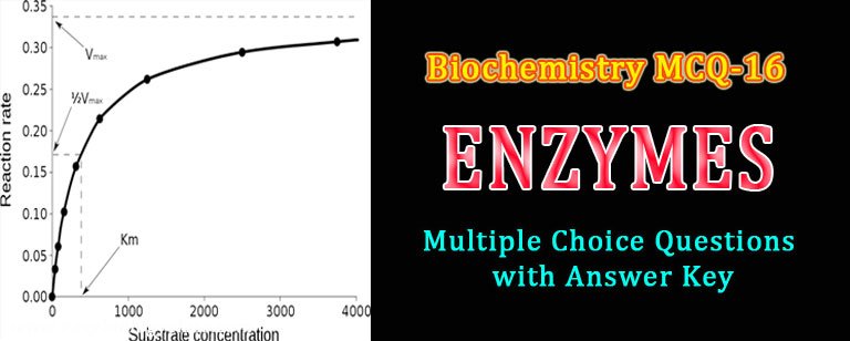 mcq on enzymes