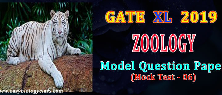 gate xl zoology model paper