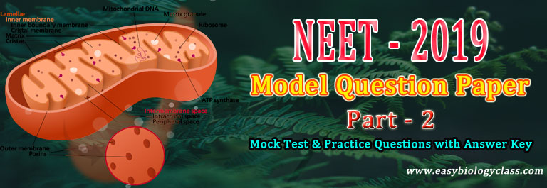 neet 2019 model question paper