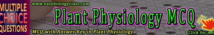 plant physiology quizzes