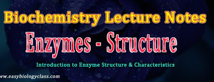 Enzymes short notes