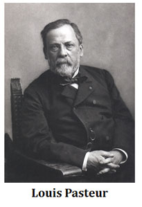 contribution of Pasteur in biochemistry