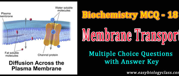 Trans membrane channels