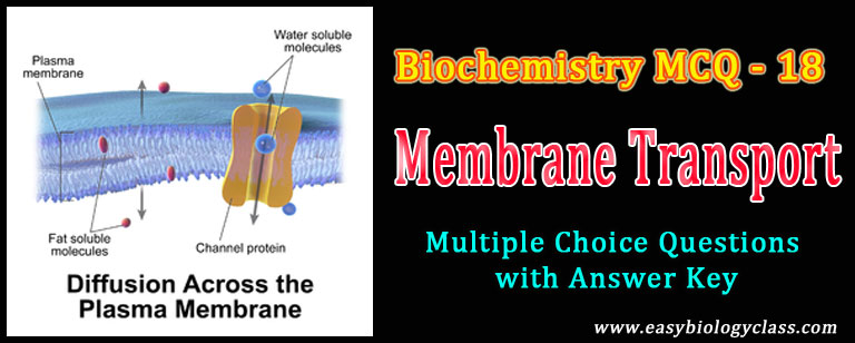 Trans membrane channels