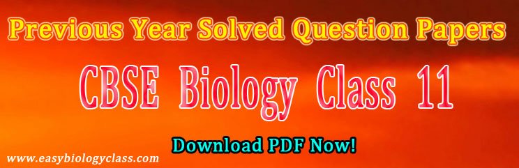 cbse class 11 papers