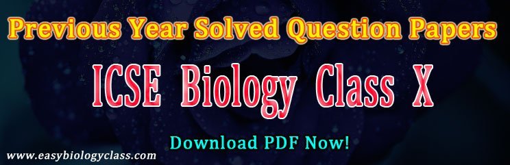 icse class 10 biology papers pdf